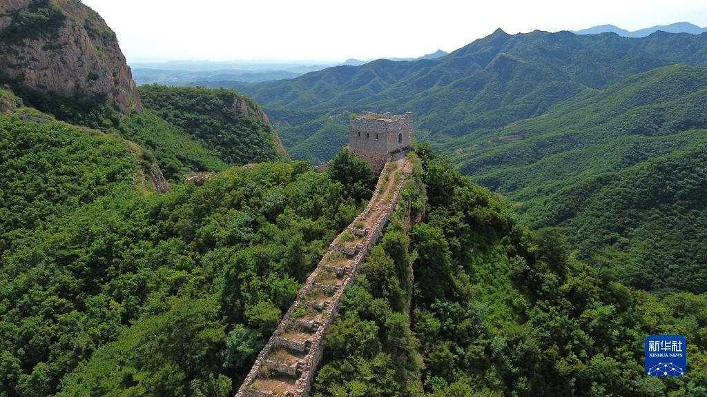 最新打鱼赢现金